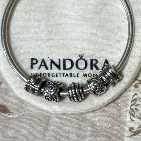 Pandora Silver Charm Bracelet - Picture 1 of 2